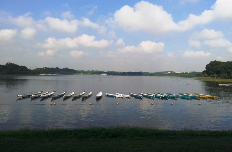 Waterfront Gold Singapore Condominium Condo Floor Plans & Site Plan